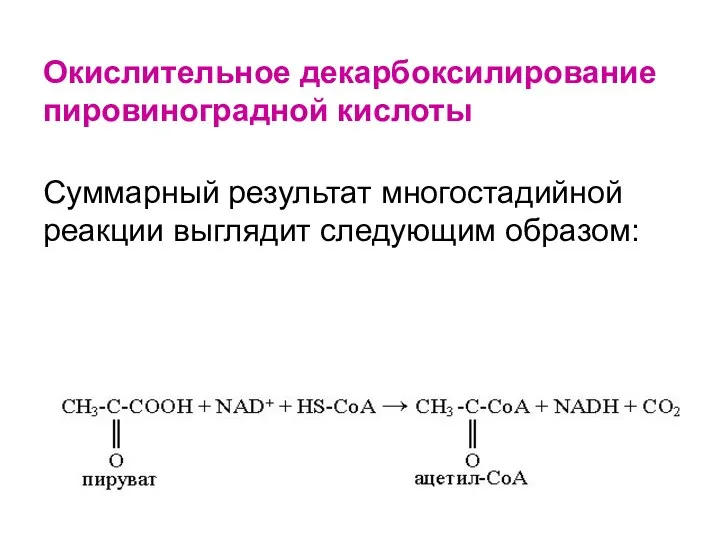 Окислительное декарбоксилирование пировиноградной кислоты Суммарный результат многостадийной реакции выглядит следующим образом: