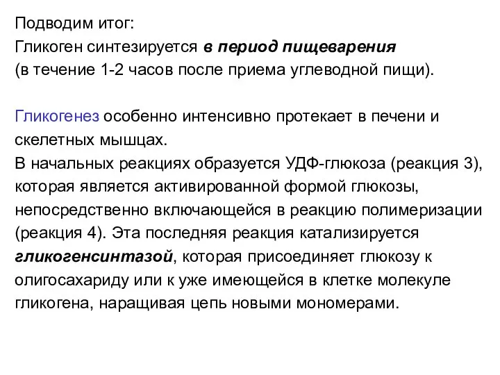 Подводим итог: Гликоген синтезируется в период пищеварения (в течение 1-2 часов