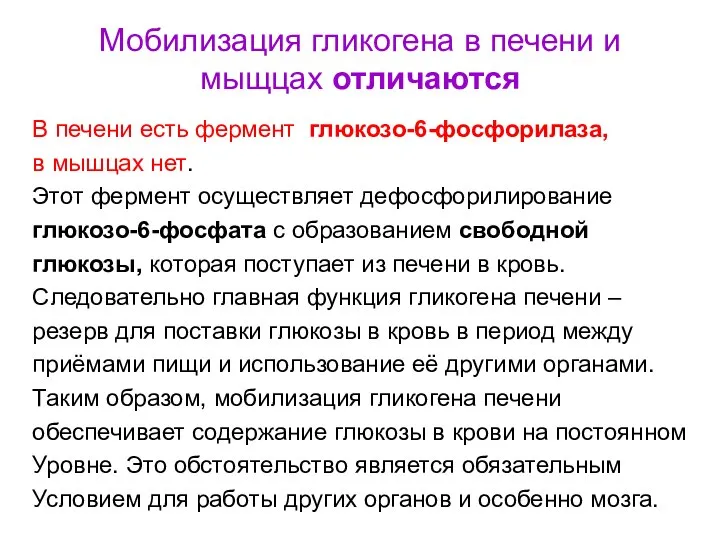 Мобилизация гликогена в печени и мыщцах отличаются В печени есть фермент