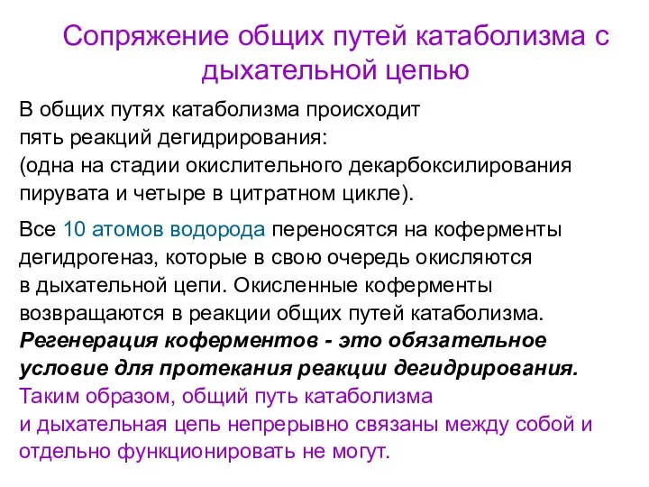 Сопряжение общих путей катаболизма с дыхательной цепью В общих путях катаболизма