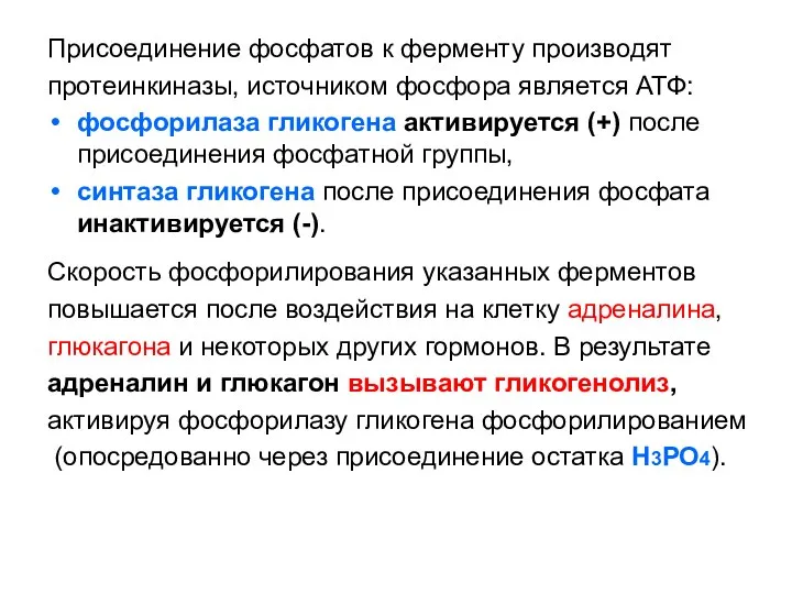 Присоединение фосфатов к ферменту производят протеинкиназы, источником фосфора является АТФ: фосфорилаза