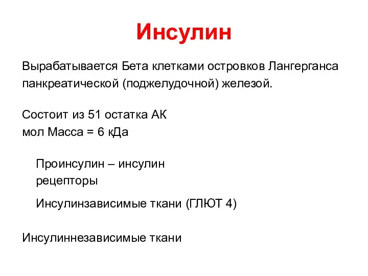 Инсулин Вырабатывается Бета клетками островков Лангерганса панкреатической (поджелудочной) железой. Состоит из