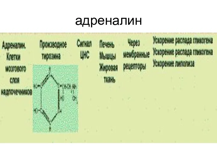 адреналин