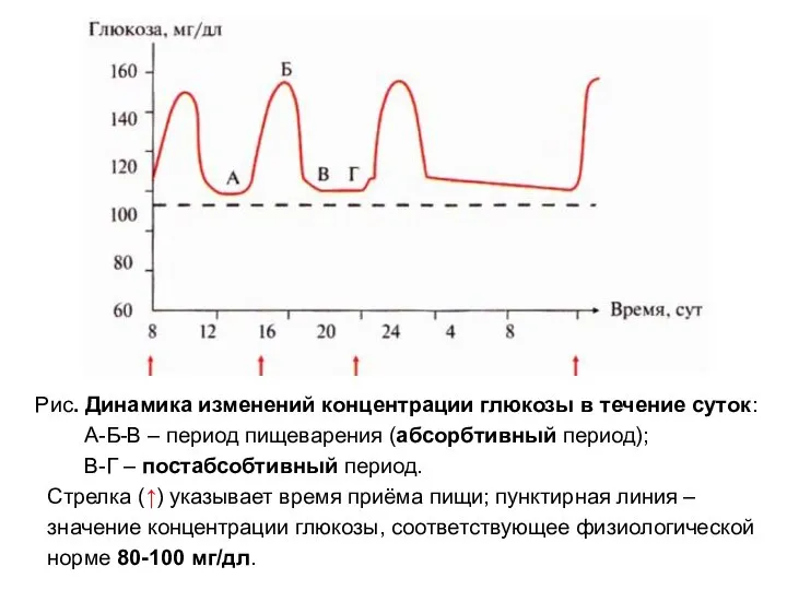 Рис. Динамика изменений концентрации глюкозы в течение суток: А-Б-В – период