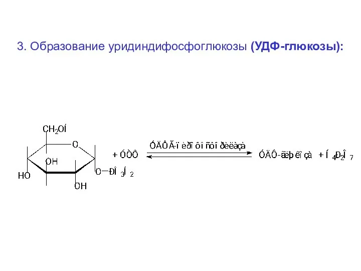 3. Образование уридиндифосфоглюкозы (УДФ-глюкозы):