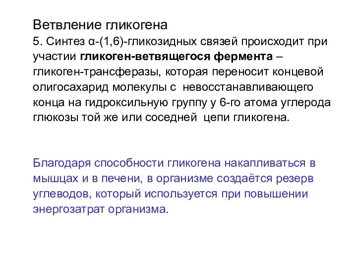 Ветвление гликогена 5. Синтез α-(1,6)-гликозидных связей происходит при участии гликоген-ветвящегося фермента