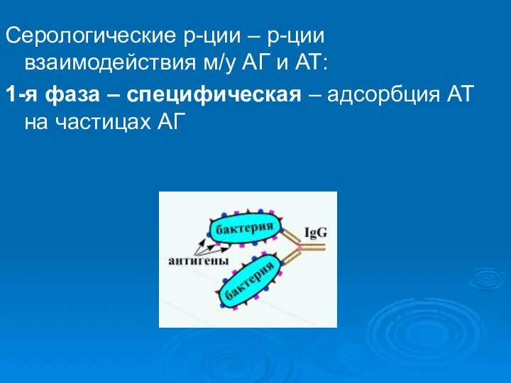 Серологические р-ции – р-ции взаимодействия м/у АГ и АТ: 1-я фаза