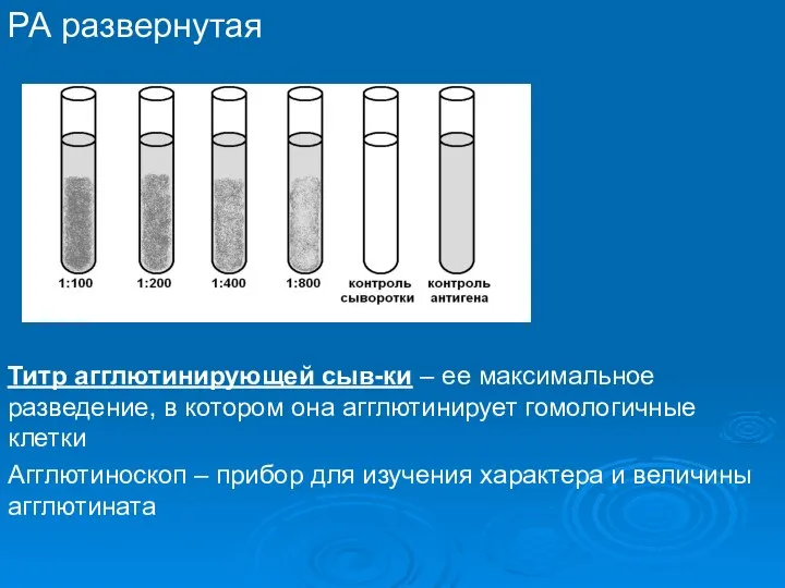 РА развернутая Титр агглютинирующей сыв-ки – ее максимальное разведение, в котором