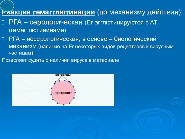 Реакция гемагглютинации (по механизму действия): РГА – серологическая (Er агглютинируются с