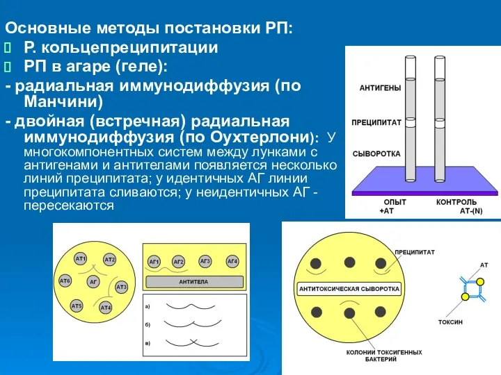 Основные методы постановки РП: Р. кольцепреципитации РП в агаре (геле): -