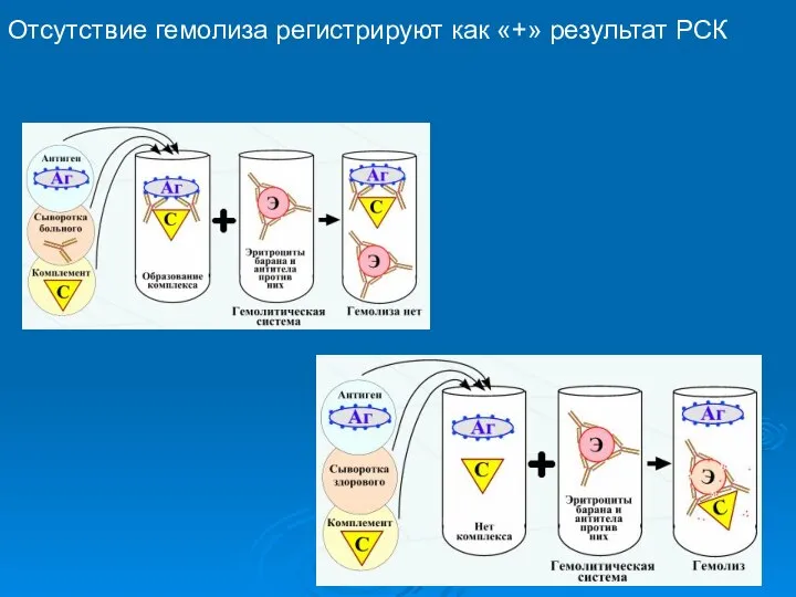 Отсутствие гемолиза регистрируют как «+» результат РСК