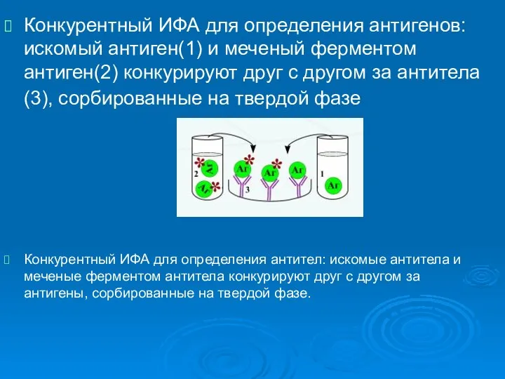 Конкурентный ИФА для определения антигенов: искомый антиген(1) и меченый ферментом антиген(2)