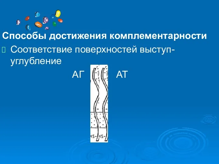 Способы достижения комплементарности Соответствие поверхностей выступ-углубление АГ АТ