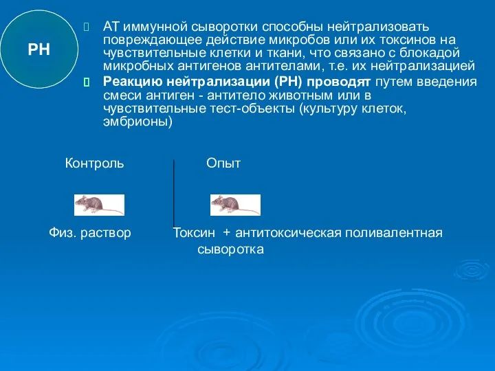 АТ иммунной сыворотки способны нейтрализовать повреждающее действие микробов или их токсинов