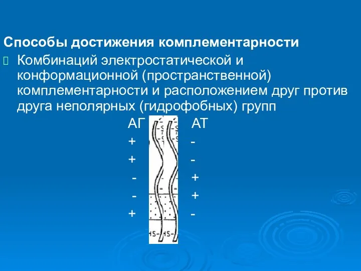 Способы достижения комплементарности Комбинаций электростатической и конформационной (пространственной) комплементарности и расположением