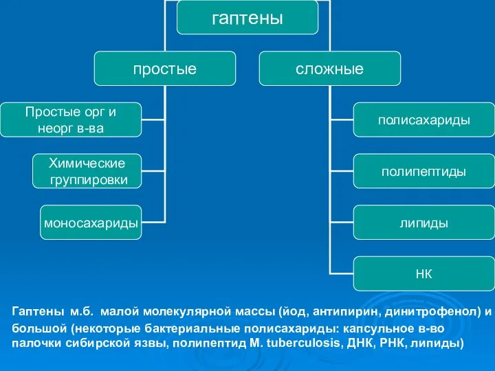 Гаптены м.б. малой молекулярной массы (йод, антипирин, динитрофенол) и большой (некоторые