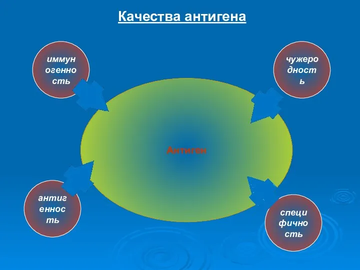 Антиген Качества антигена иммуногенность чужеродность антигенность специфичность