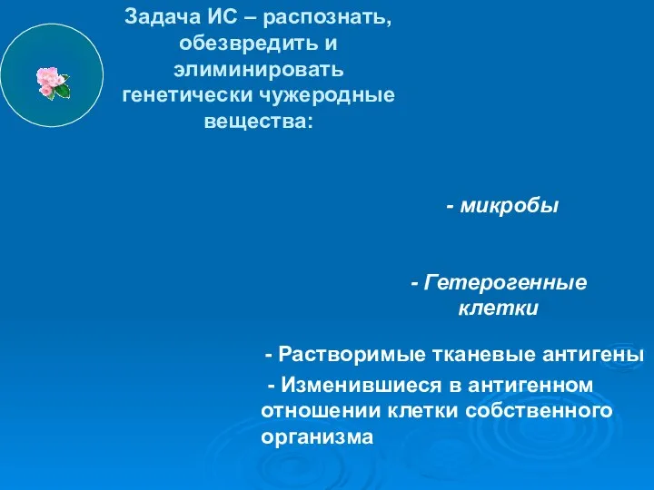 - Растворимые тканевые антигены - Изменившиеся в антигенном отношении клетки собственного организма - Гетерогенные клетки