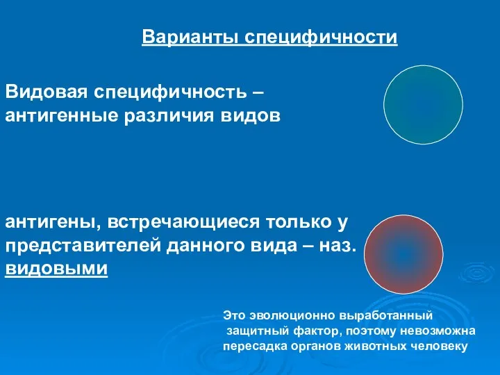 Варианты специфичности Видовая специфичность – антигенные различия видов антигены, встречающиеся только