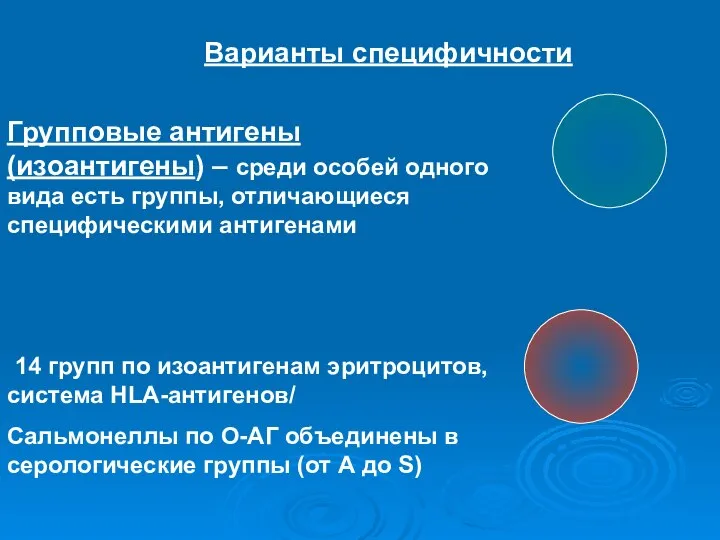 Варианты специфичности Групповые антигены (изоантигены) – среди особей одного вида есть