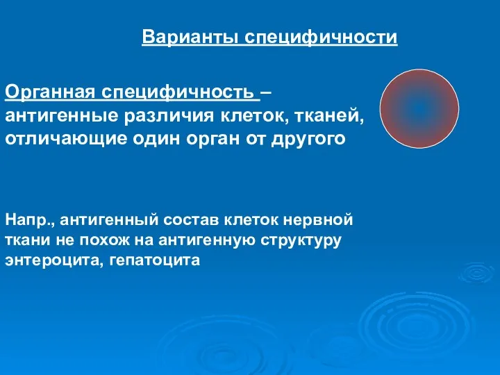 Варианты специфичности Органная специфичность – антигенные различия клеток, тканей, отличающие один