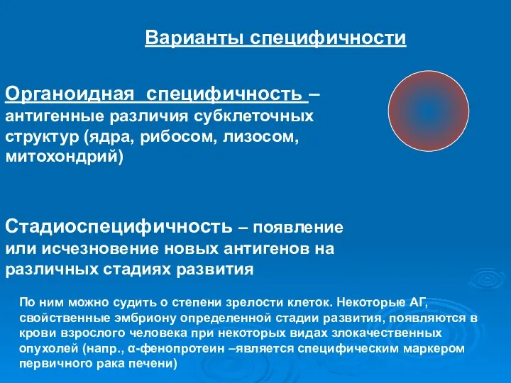 Варианты специфичности Органоидная специфичность – антигенные различия субклеточных структур (ядра, рибосом,