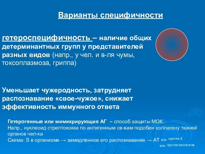 Варианты специфичности гетероспецифичность – наличие общих детерминантных групп у представителей разных