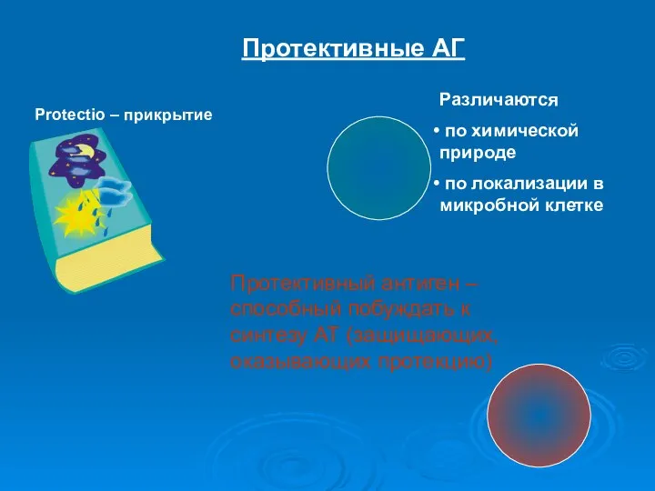 Протективные АГ Protectio – прикрытие Различаются по химической природе по локализации