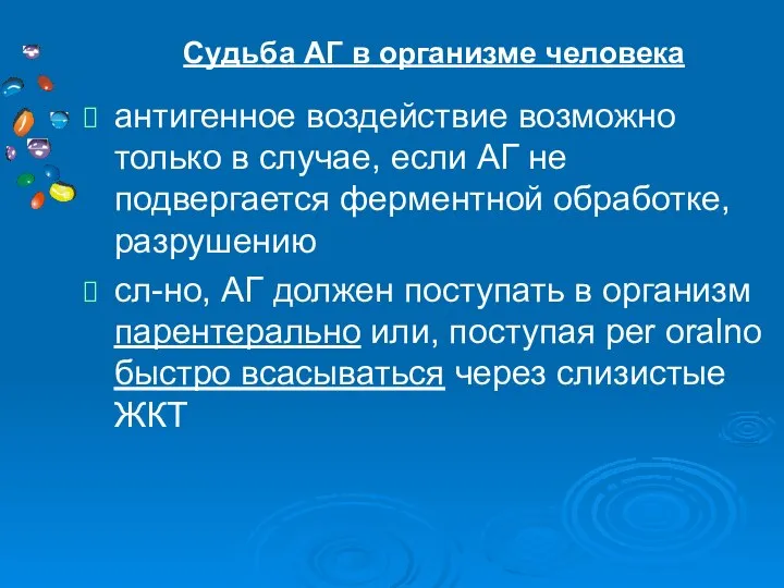 антигенное воздействие возможно только в случае, если АГ не подвергается ферментной