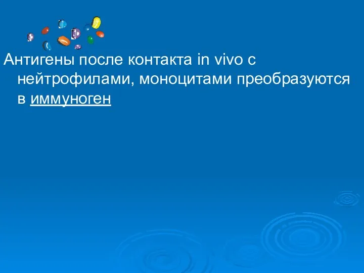 Антигены после контакта in vivo с нейтрофилами, моноцитами преобразуются в иммуноген