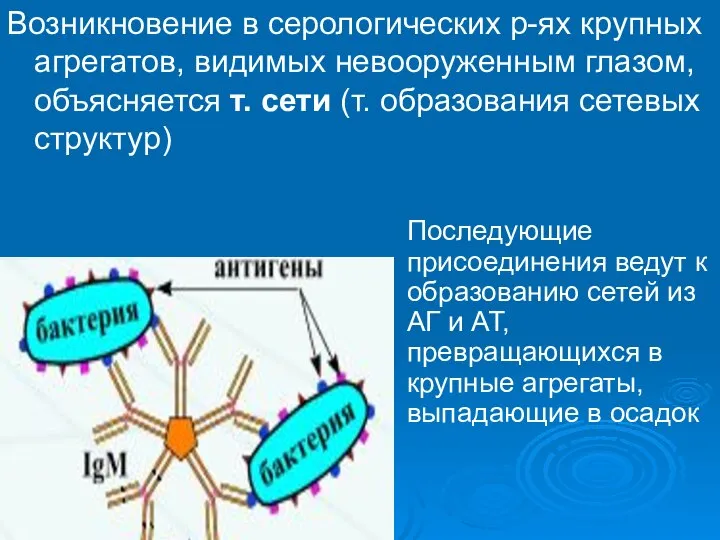 Возникновение в серологических р-ях крупных агрегатов, видимых невооруженным глазом, объясняется т.