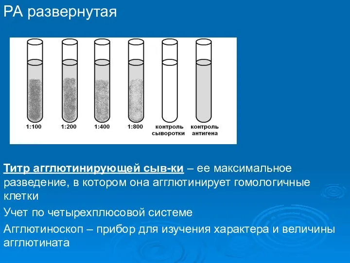 РА развернутая Титр агглютинирующей сыв-ки – ее максимальное разведение, в котором