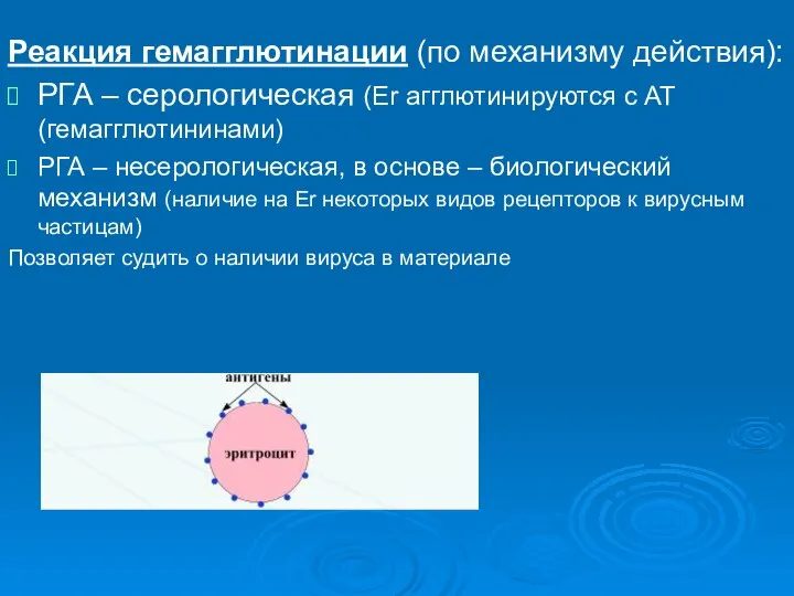 Реакция гемагглютинации (по механизму действия): РГА – серологическая (Er агглютинируются с