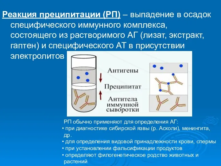 Реакция преципитации (РП) – выпадение в осадок специфического иммунного комплекса, состоящего