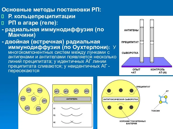 Основные методы постановки РП: Р. кольцепреципитации РП в агаре (геле): -