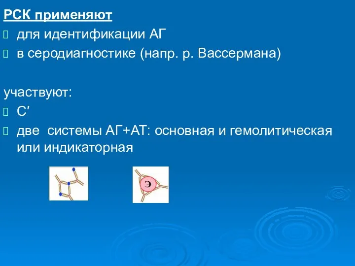 РСК применяют для идентификации АГ в серодиагностике (напр. р. Вассермана) участвуют: