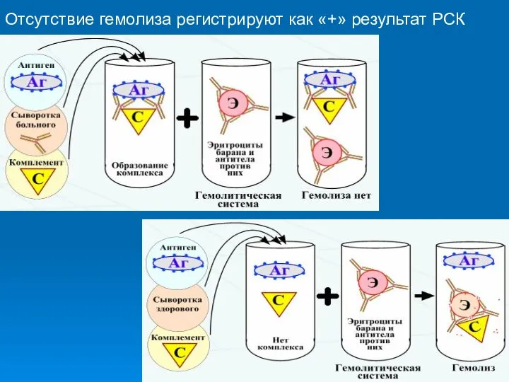 Отсутствие гемолиза регистрируют как «+» результат РСК