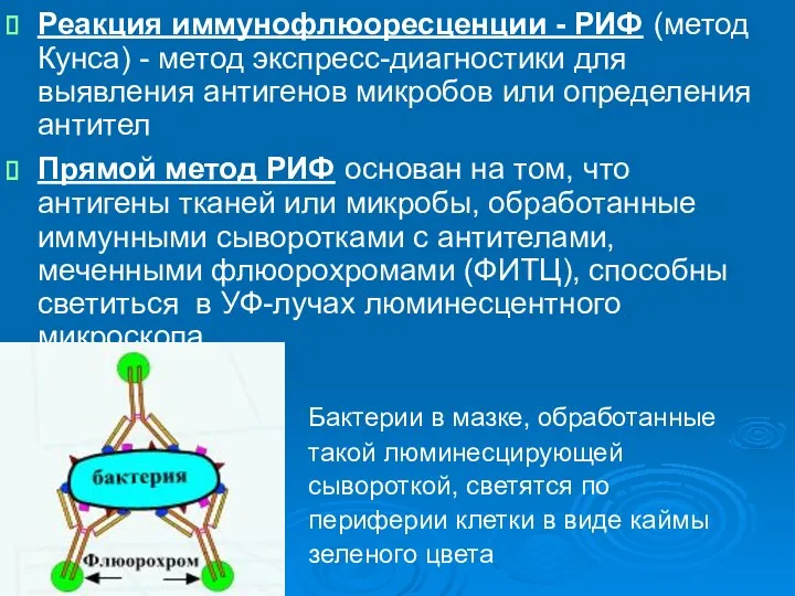 Реакция иммунофлюоресценции - РИФ (метод Кунса) - метод экспресс-диагностики для выявления