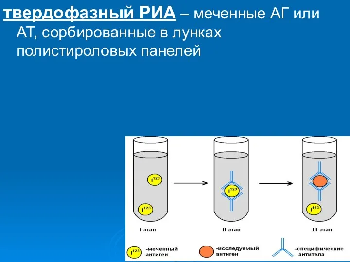 твердофазный РИА – меченные АГ или АТ, сорбированные в лунках полистироловых панелей