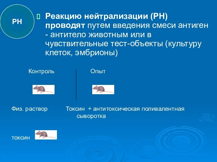 Реакцию нейтрализации (РН) проводят путем введения смеси антиген - антитело животным