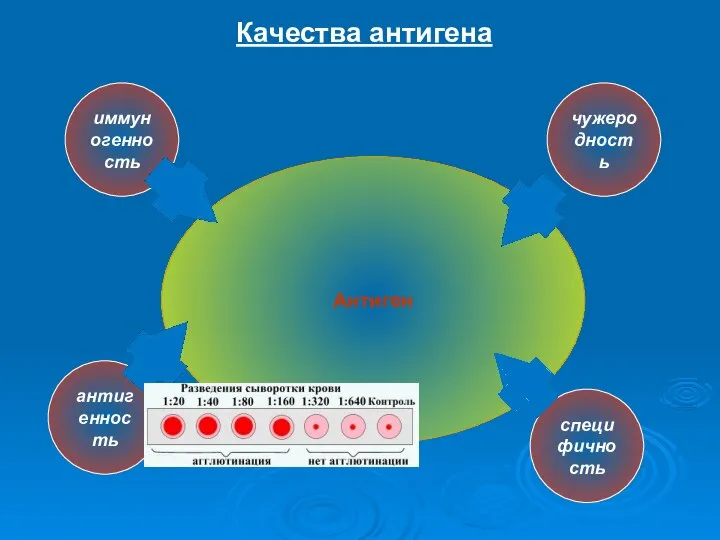 Антиген Качества антигена иммуногенность чужеродность антигенность специфичность