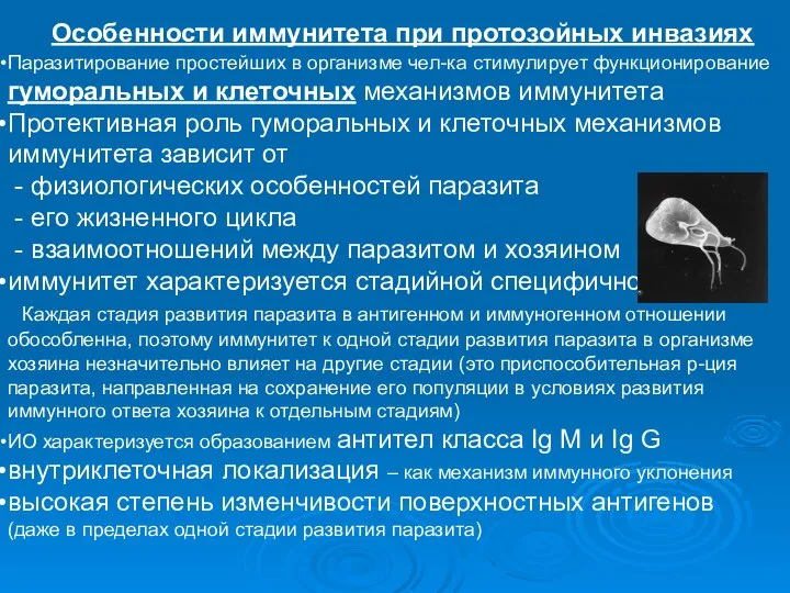 Особенности иммунитета при протозойных инвазиях Паразитирование простейших в организме чел-ка стимулирует