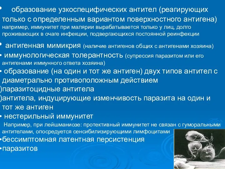 образование узкоспецифических антител (реагирующих только с определенным вариантом поверхностного антигена) например,