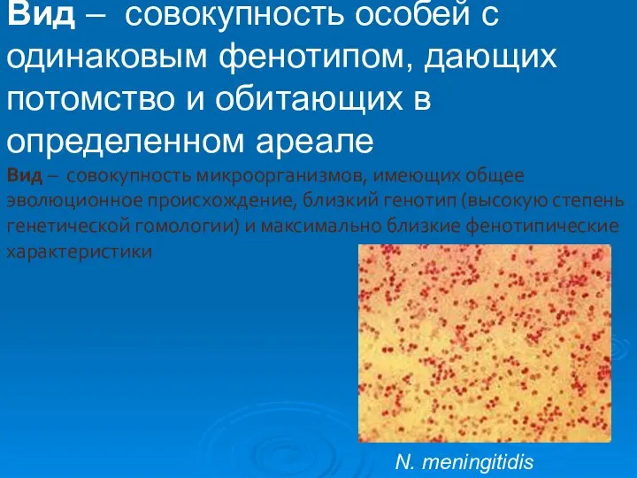 Вид – совокупность особей с одинаковым фенотипом, дающих потомство и обитающих