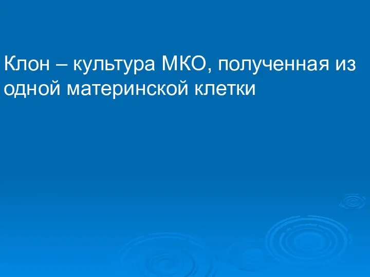 Клон – культура МКО, полученная из одной материнской клетки