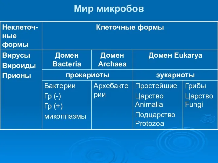 Мир микробов