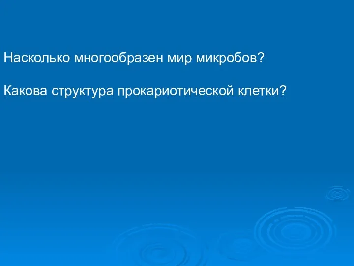 Насколько многообразен мир микробов? Какова структура прокариотической клетки?