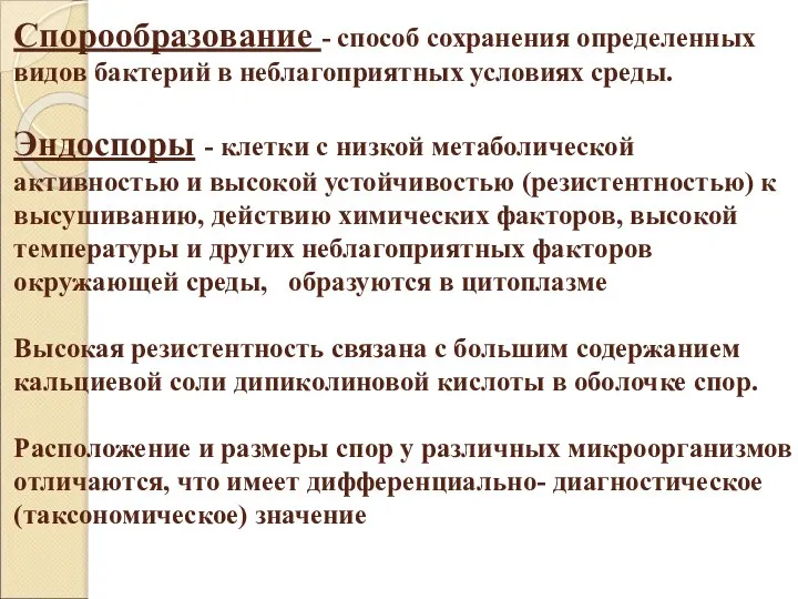 Спорообразование - способ сохранения определенных видов бактерий в неблагоприятных условиях среды.