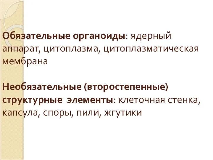 Обязательные органоиды: ядерный аппарат, цитоплазма, цитоплазматическая мембрана Необязательные (второстепенные) структурные элементы: