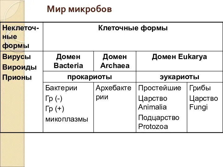 Мир микробов